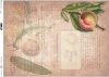 Papier decoupage Frucht*Fruta de decoupage de papel*Бумага для декупажа